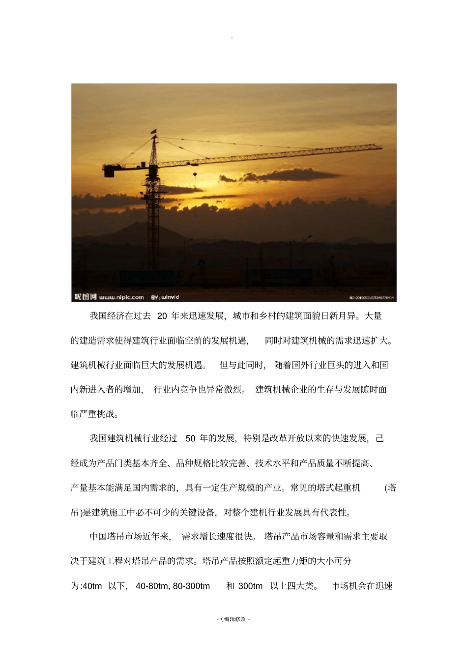 塔吊市场营销策划_第2页