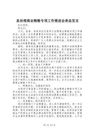 县治理商业贿赂专项工作推进会表态发言稿 (2)