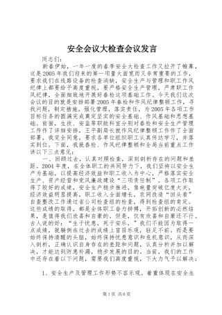 安全会议大检查会议发言稿 (2)