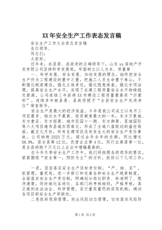 XX年安全生产工作表态发言