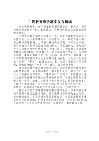 主题教育整改落实发言稿摘编