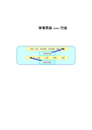 文体用品：体育用品行业某某年报告