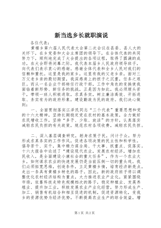 新当选乡长就职演说稿 (6)