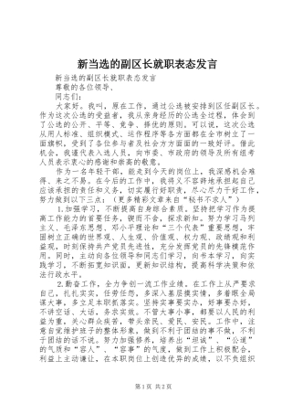 新当选的副区长就职表态发言稿 (2)