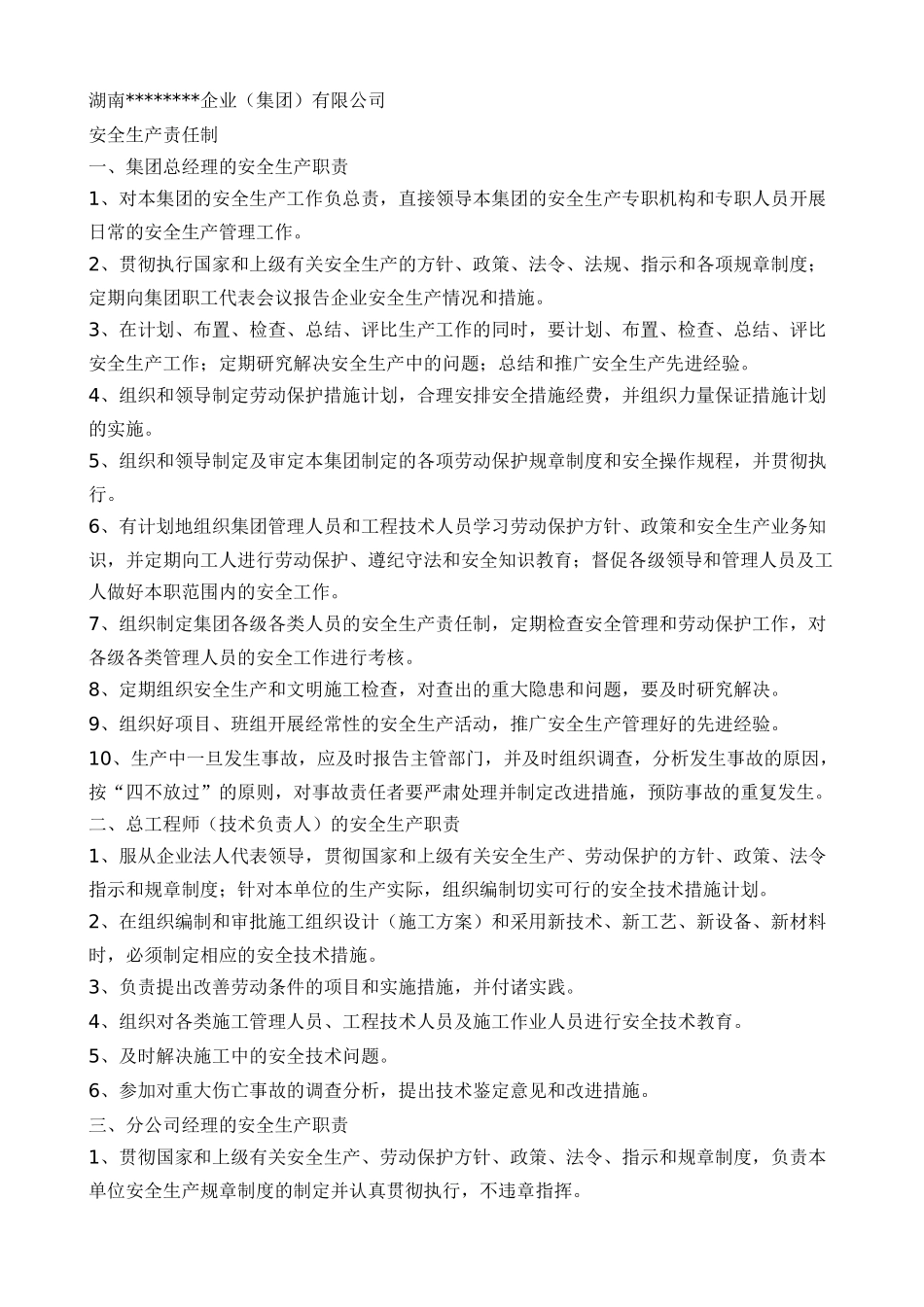 某公司安全生产责任制汇编( 48页)_第2页