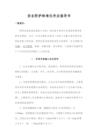 特种设备安全防护指导书