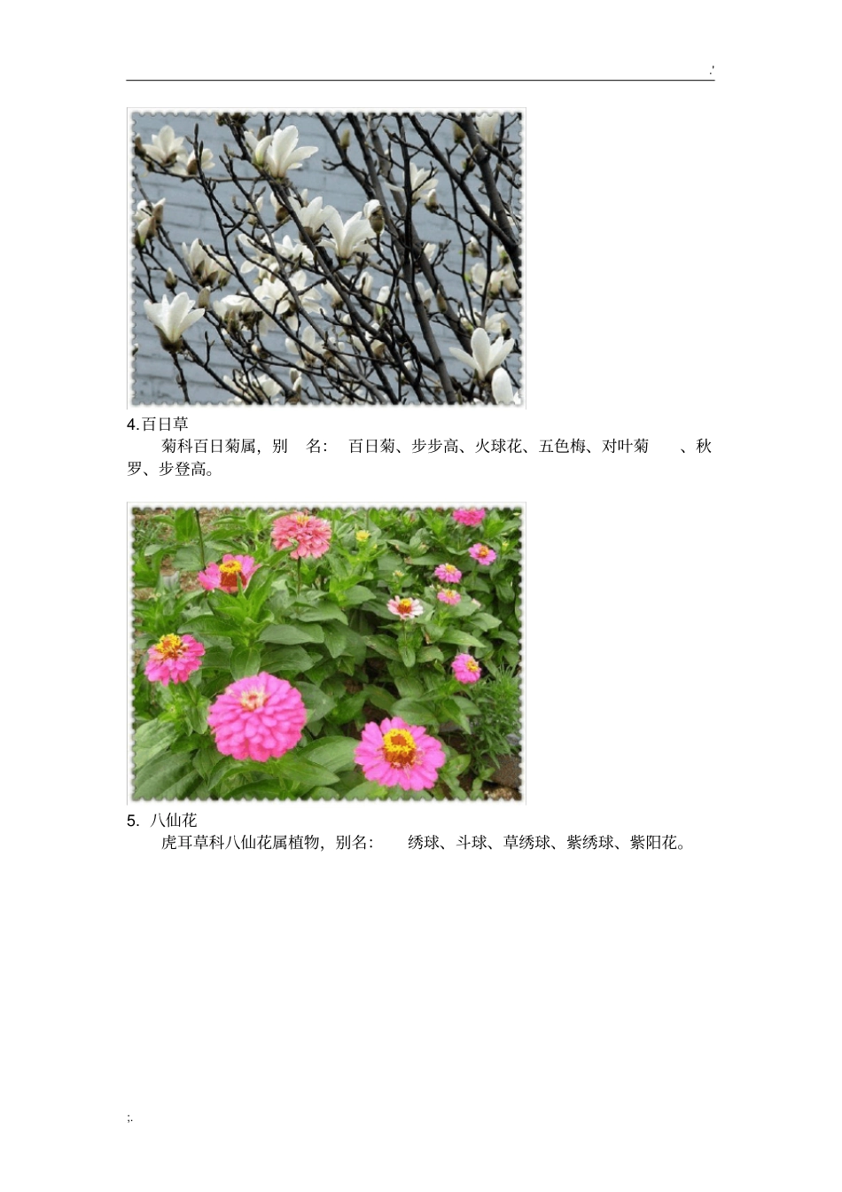 常见植物100种,图文并茂_第2页