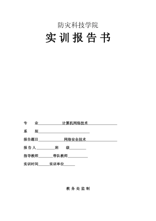 网络安全技术报告书