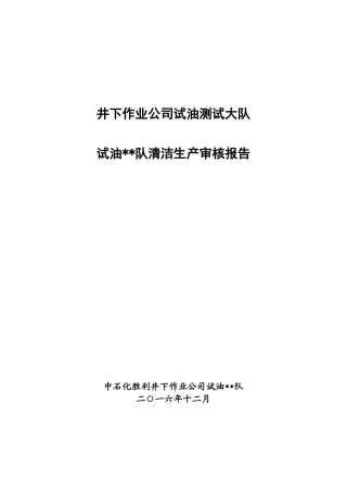 XXXX年清洁生产审核报告