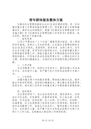 青年群体服务整体实施方案