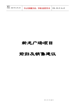 新龙广场项目前归及销售建议