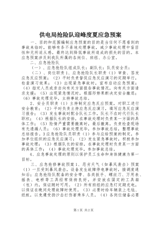 供电局抢险队迎峰度夏应急处理预案