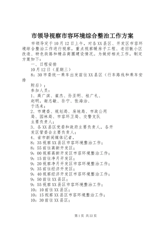 市领导视察市容环境综合整治工作实施方案