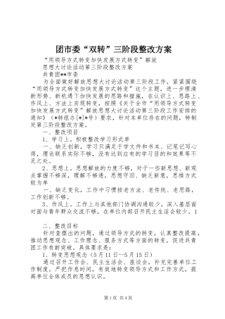 团市委“双转”三阶段整改实施方案