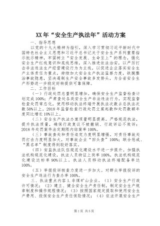XX年“安全生产执法年”活动实施方案