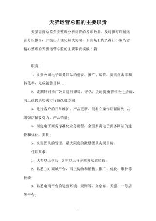 天猫运营总监的主要职责