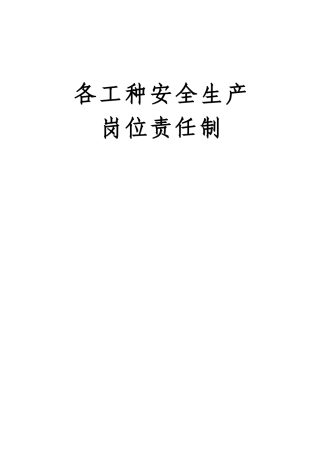 各工种岗位安全生产责任制（45页）