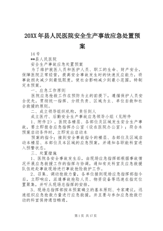 XX年县人民医院安全生产事故应急预案