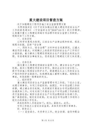 重大建设项目督查实施方案