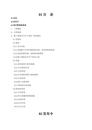 新安全保证体系