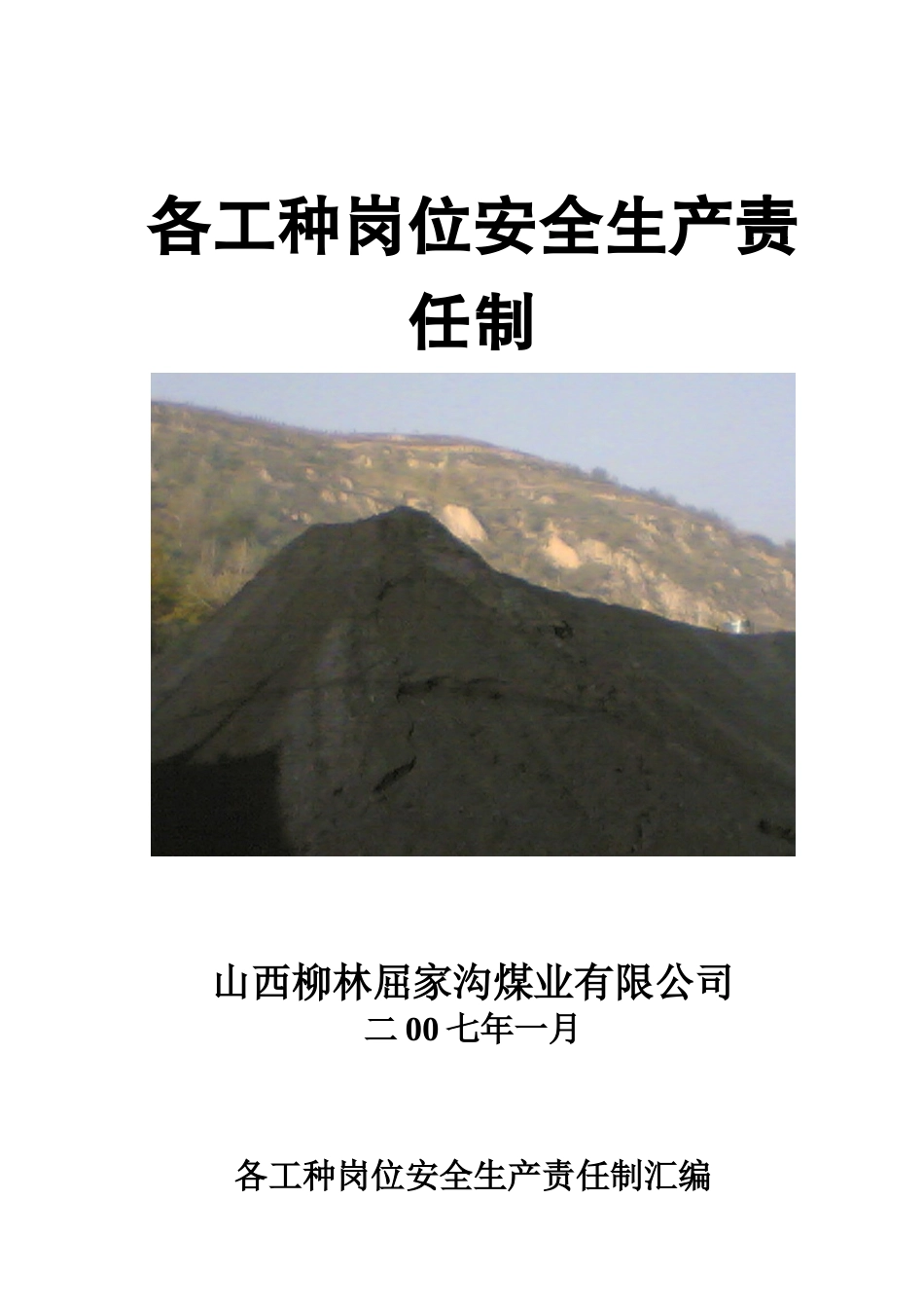 各工种岗位安全生产责任制正式_第1页