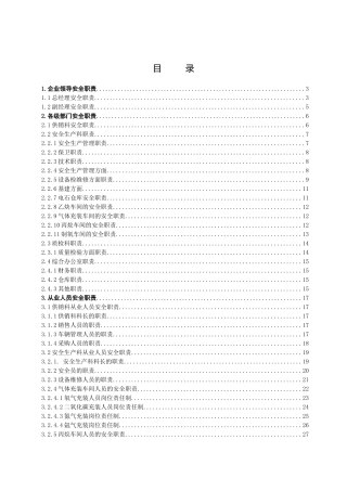 安全生产责任制_制度规范_工作范文_实用文档