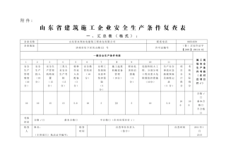 安全许可证检查