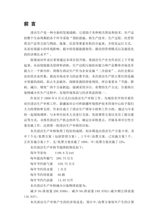 陆梁清洁生产审核报告(终稿)