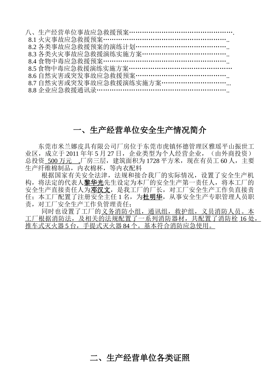 某某皮具有限公司安全生产管理档案_第3页