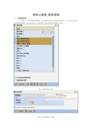 物料主数据_销售视图