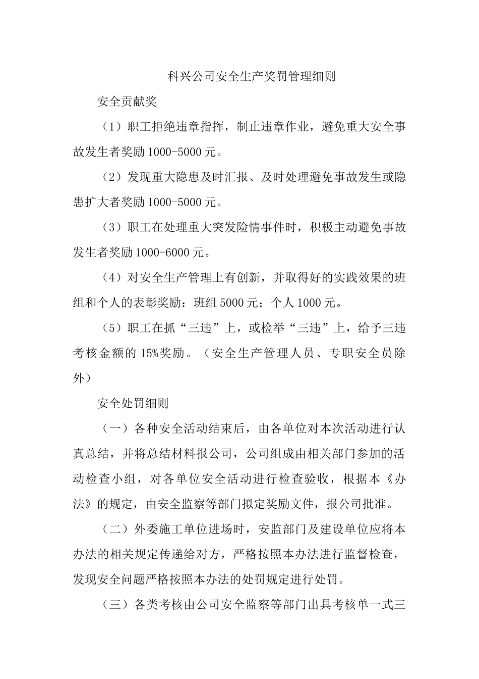 安全生产管理细则MicrosoftWord文档_第1页