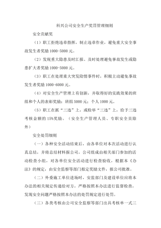 安全生产管理细则MicrosoftWord文档
