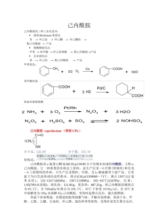 己内酰胺生产工艺