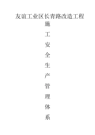 施工安全生产管理体系(完整版)(51页)