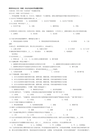 深圳市安全主任专业试题