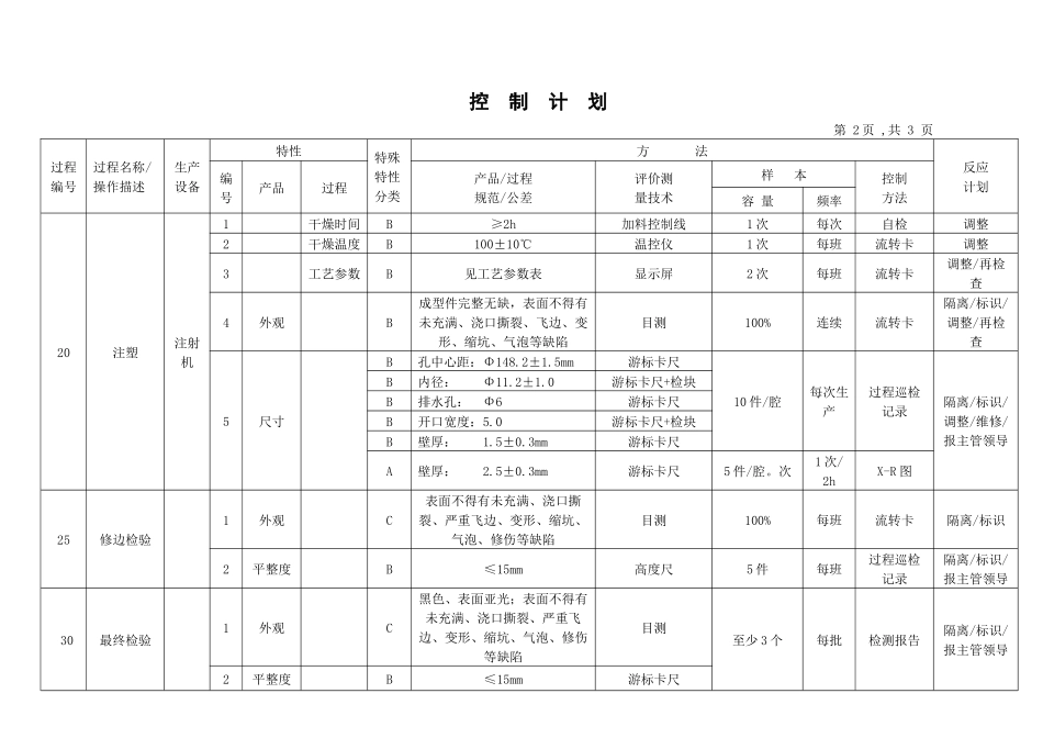 试生产控制计划_第3页