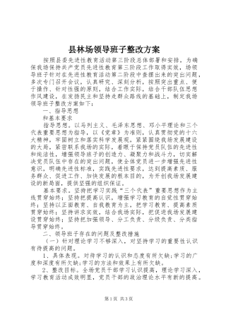 县林场领导班子整改实施方案