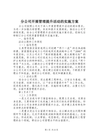 分公司开展管理提升活动的方案