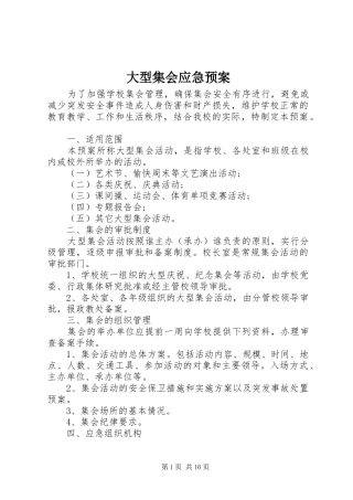 大型集会应急处理预案