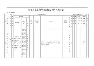 安徽省职业教育集团化办学情况统计表