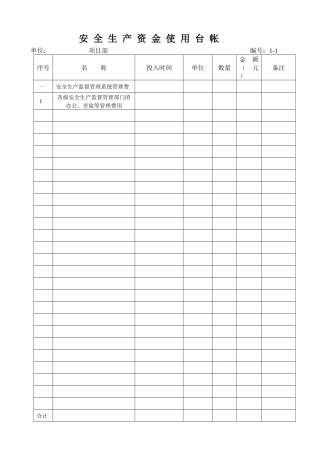 安全生产资金使用台帐表格格式