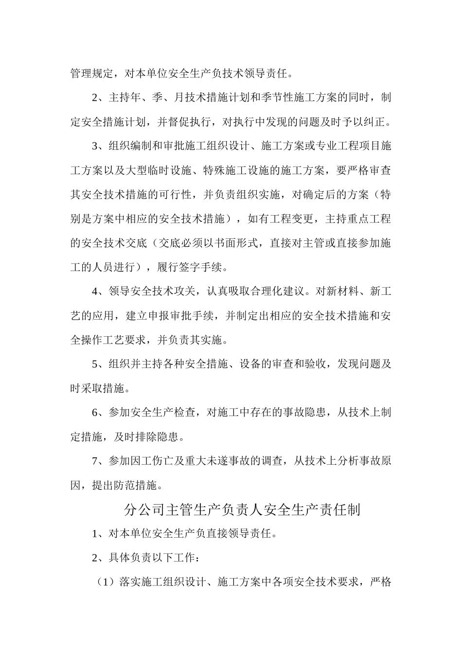 某公司负责人安全生产责任制范本_第2页