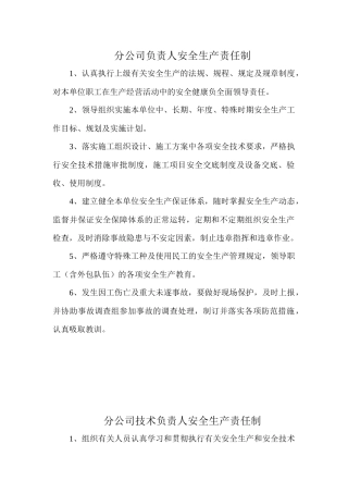 某公司负责人安全生产责任制范本