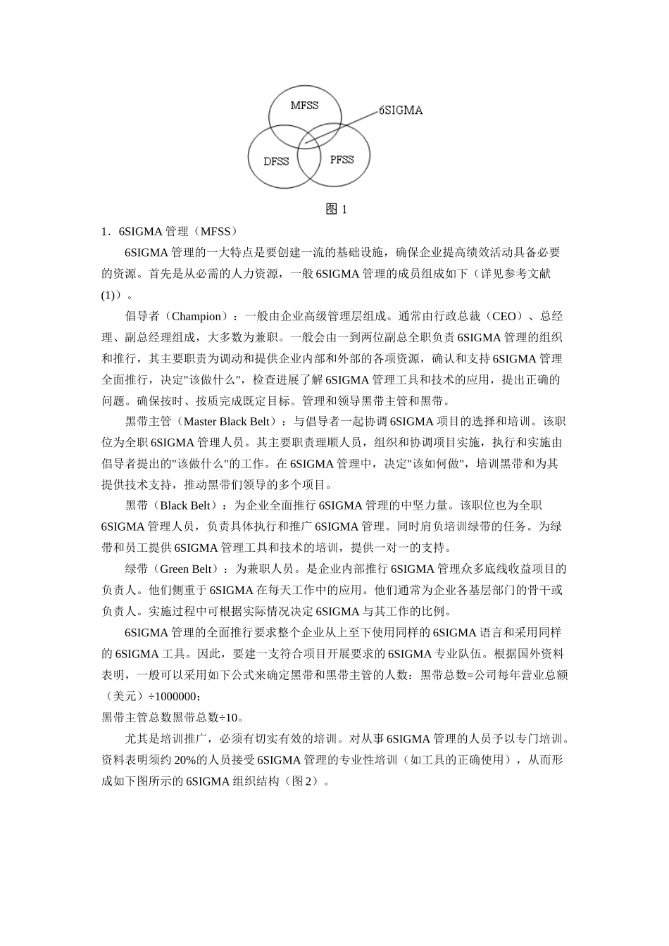 6SIGMA管理的计划和实施_第2页