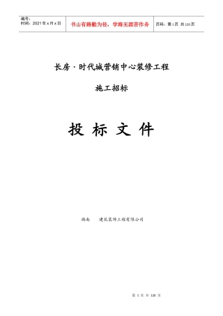 时代城投标书