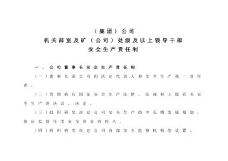 (集团)公司机关部室及矿(公司)处级及以上领导干部安全生产责任制