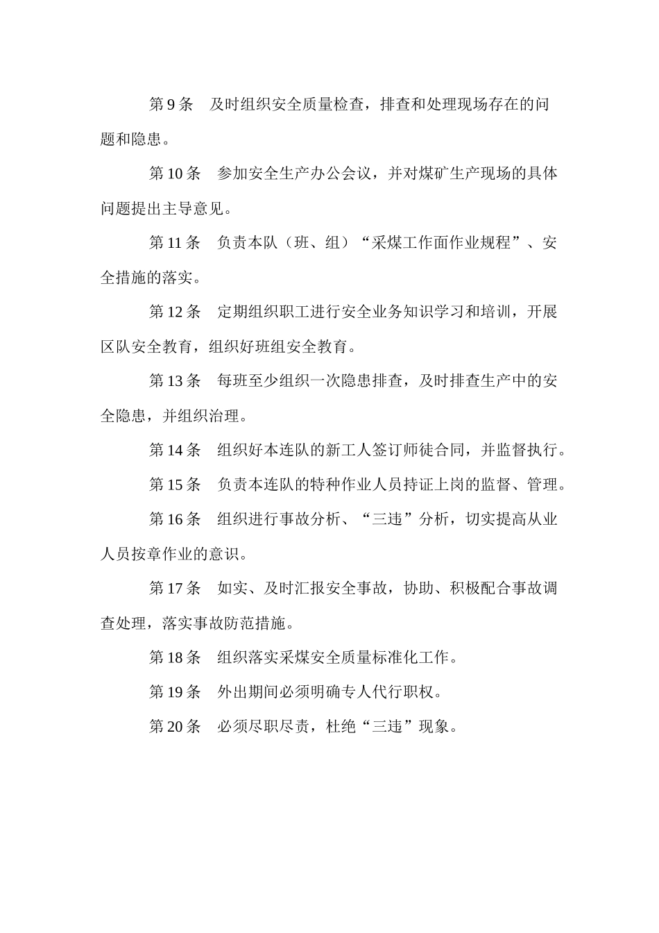 煤矿队组安全生产责任制各岗位_第2页