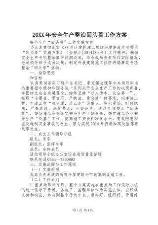 XX年安全生产整治回头看工作实施方案 ()