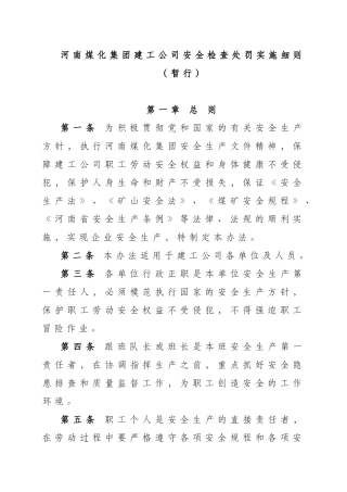安全检查处罚细则(72页)
