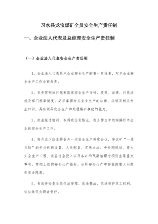 某煤矿全员安全生产责任制汇编